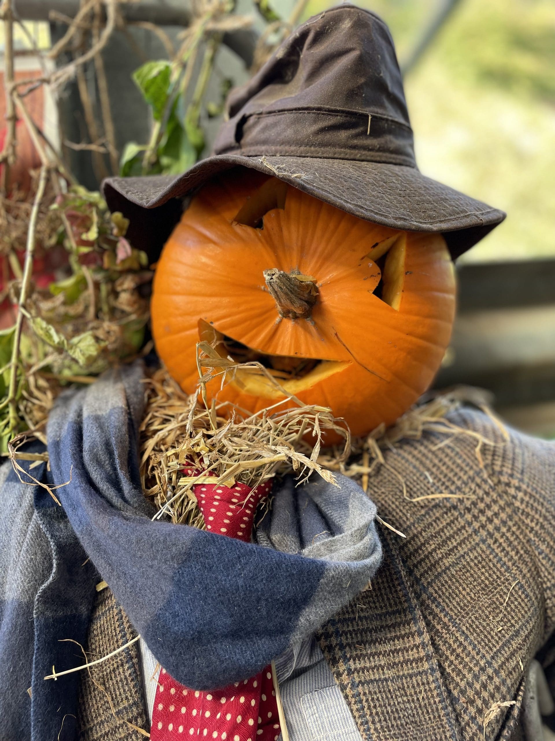 scarecrow-scaled-EsloCw