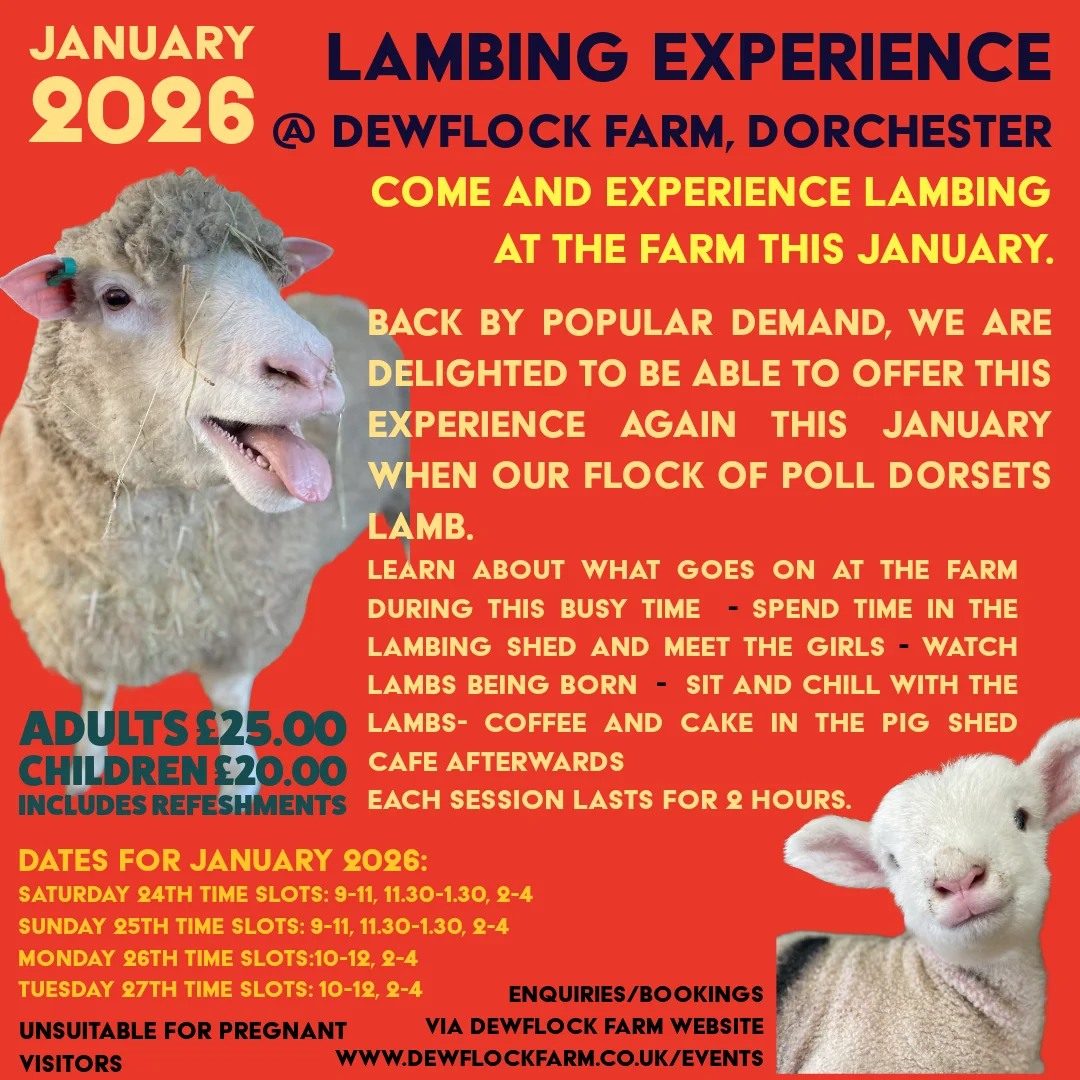 Lambing details 2026